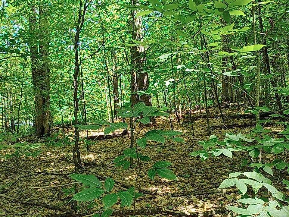 7 Acres of Land for Sale in Harpersfield, New York