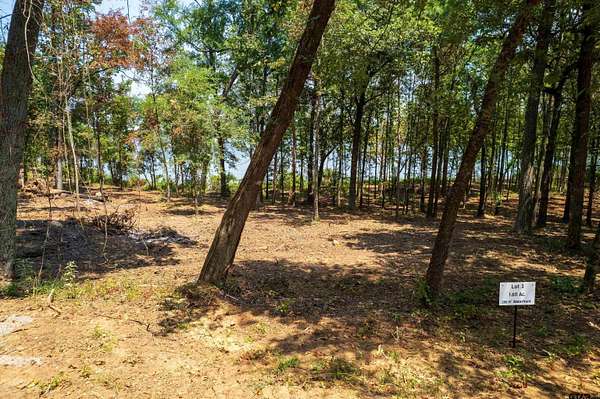 1.61 Acres of Residential Land for Sale in Leesburg, Texas