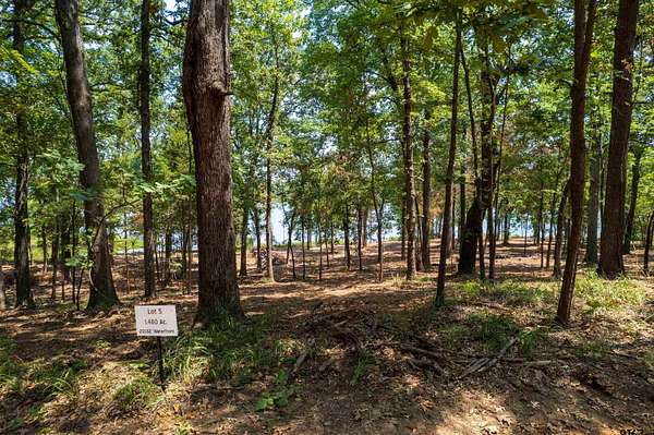 1.48 Acres of Residential Land for Sale in Leesburg, Texas