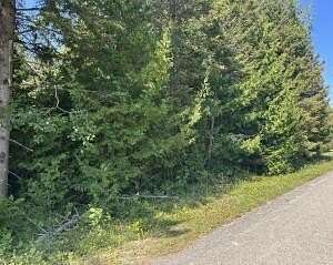 0.42 Acres of Land for Sale in Presque Isle, Michigan