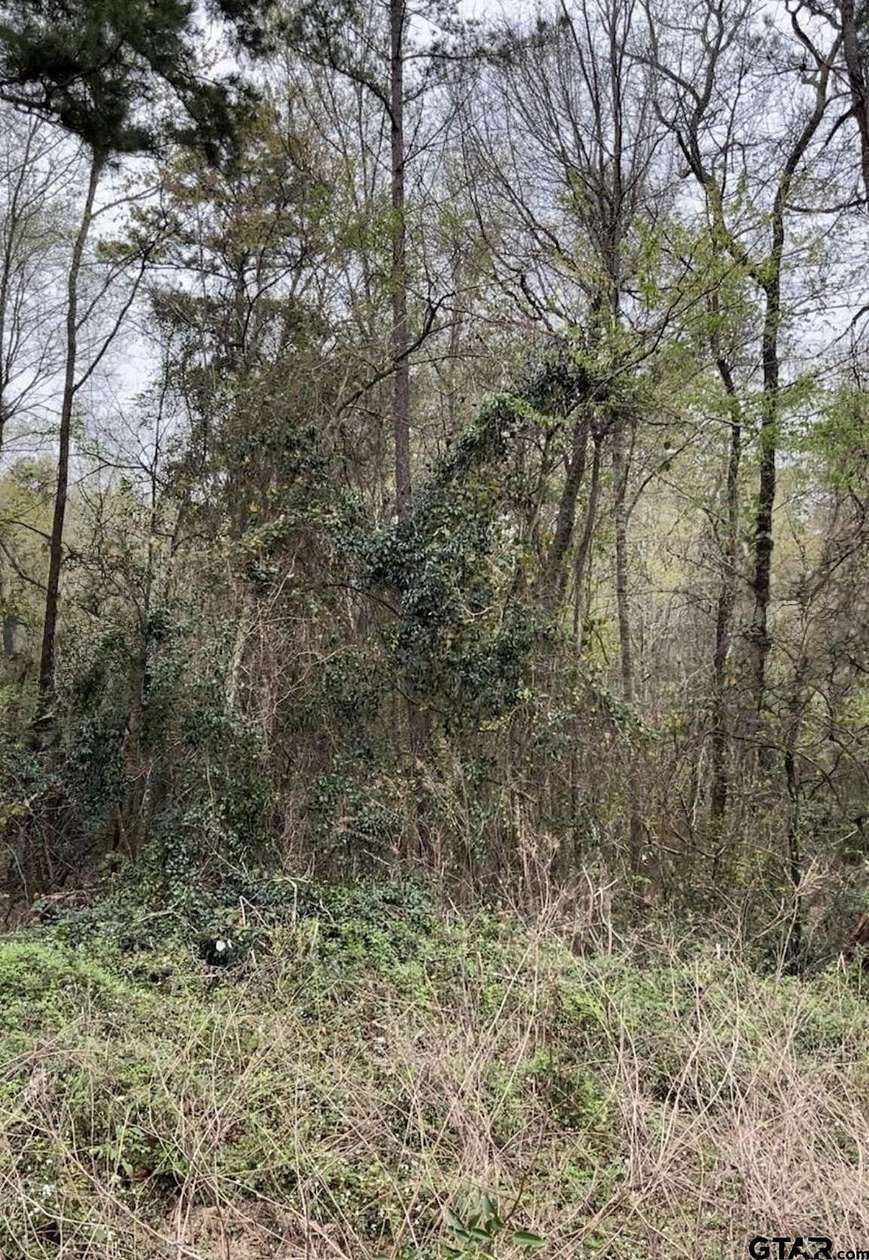 17.5 Acres of Mixed-Use Land for Sale in Tyler, Texas