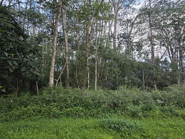 0.2 Acres of Residential Land for Sale in Pahoa, Hawaii
