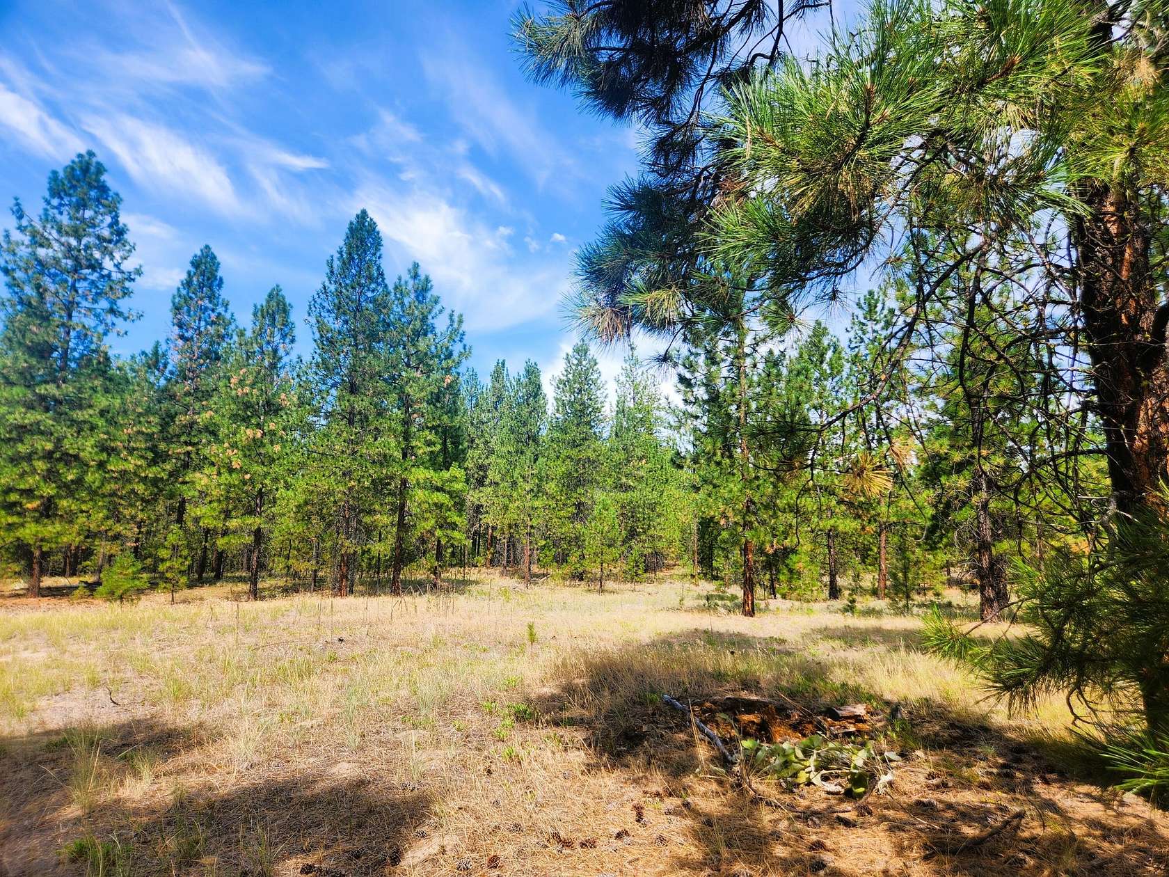 15 Acres of Land for Sale in Kettle Falls, Washington