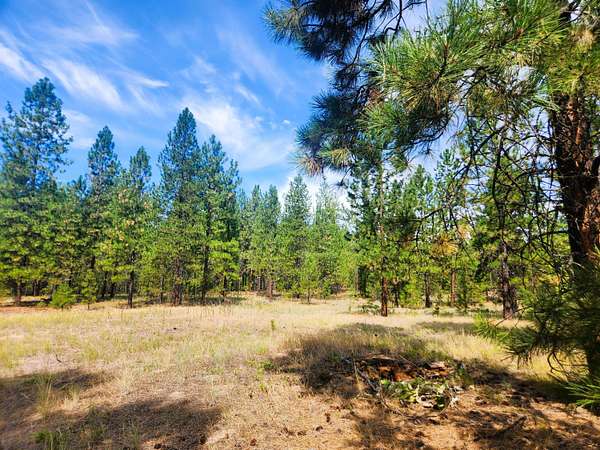 15 Acres of Land for Sale in Kettle Falls, Washington