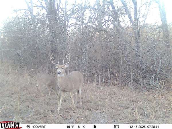 100 Acres of Recreational Land for Sale in Weleetka, Oklahoma