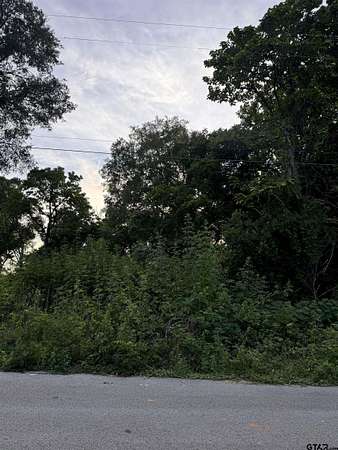 0.37 Acres of Residential Land for Sale in Tyler, Texas