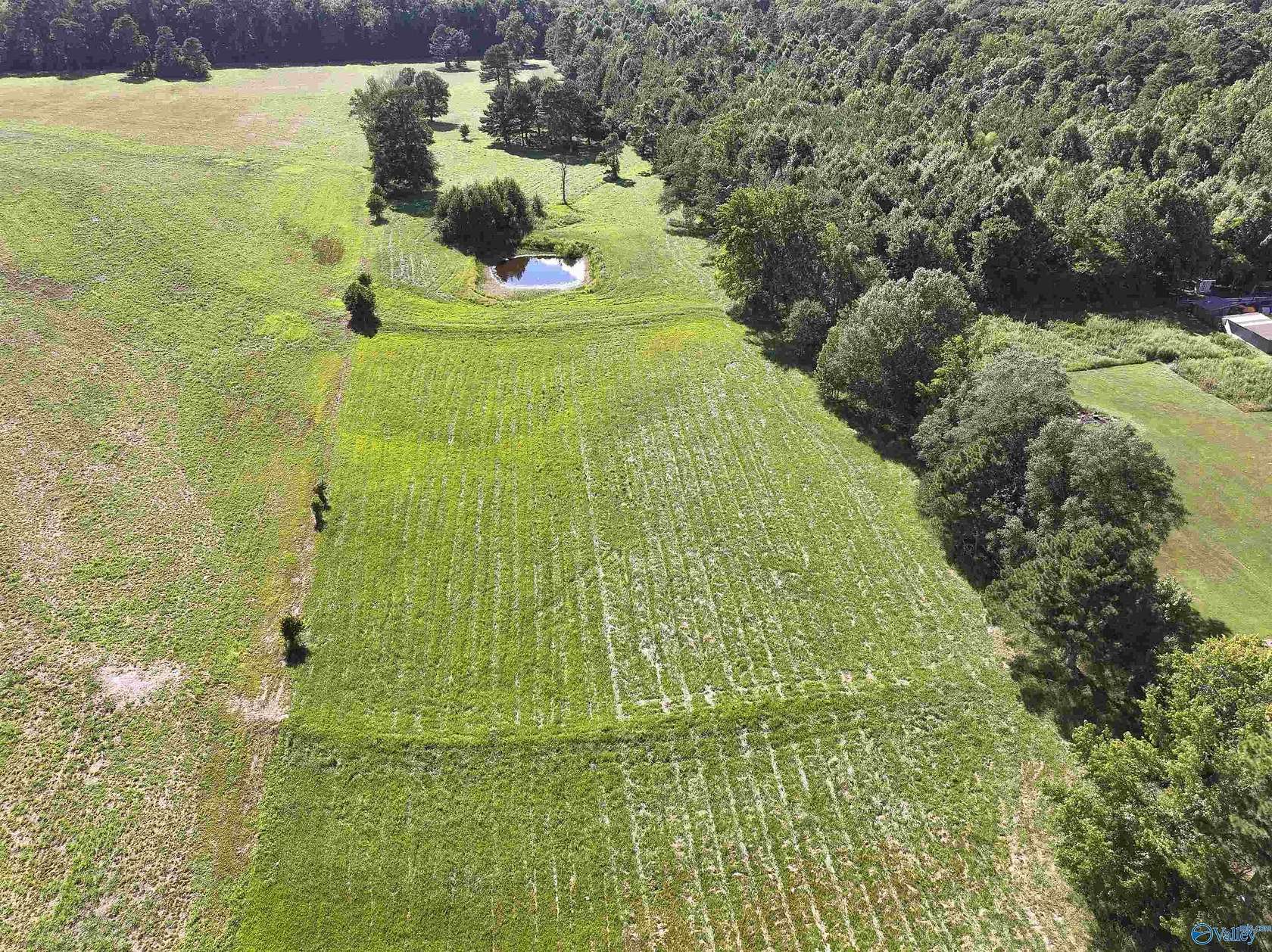 8.5 Acres of Land for Sale in Elkmont, Alabama
