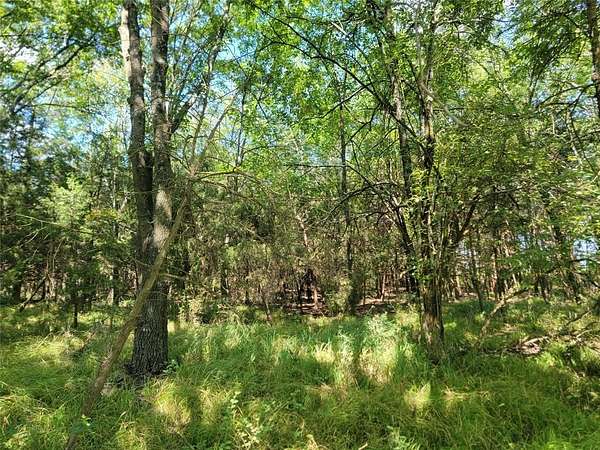 26 Acres of Land for Sale in Blossom, Texas