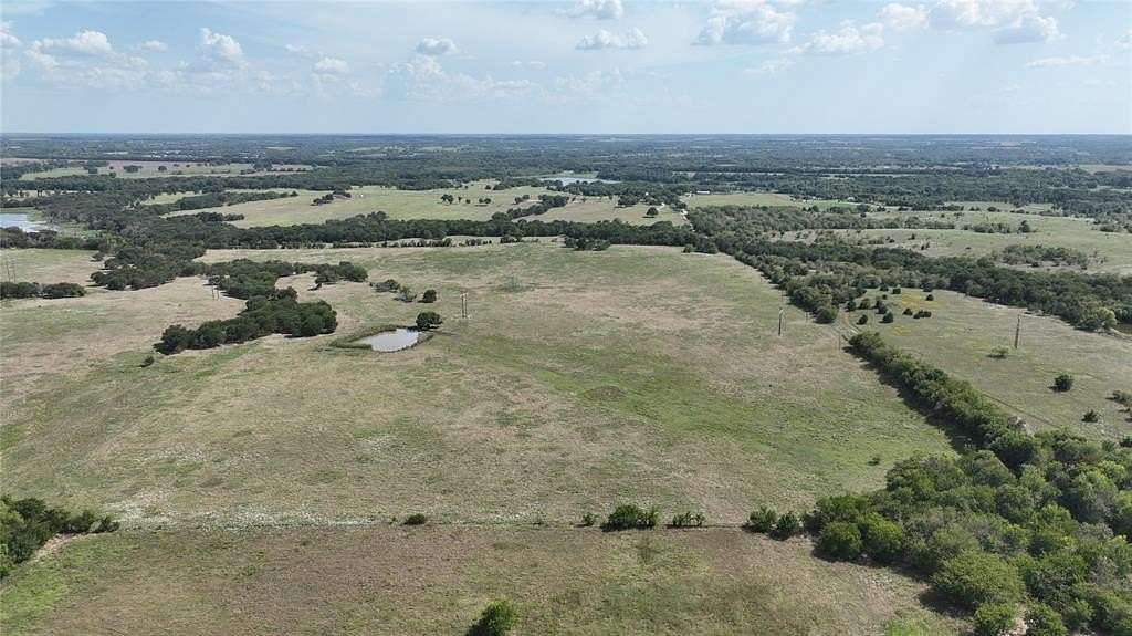 49.5 Acres of Agricultural Land for Sale in Savoy, Texas