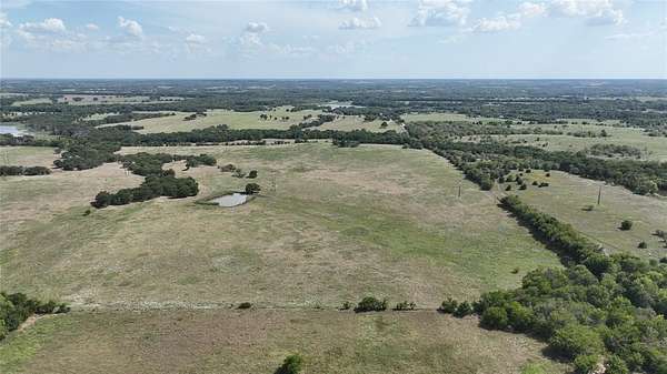49.5 Acres of Agricultural Land for Sale in Savoy, Texas