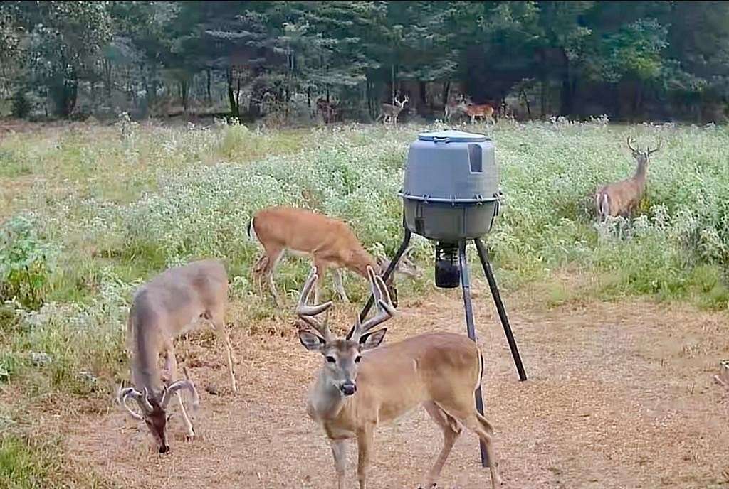 24.8 Acres of Land for Sale in Yantis, Texas