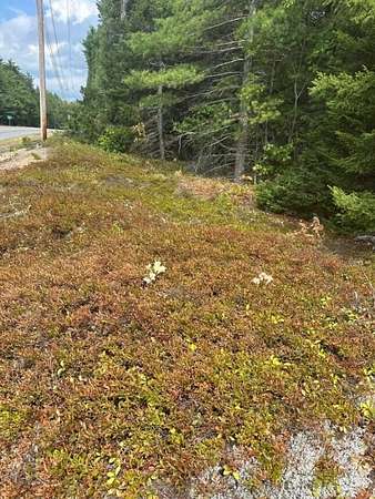 44 Acres of Recreational Land for Sale in Gouldsboro, Maine