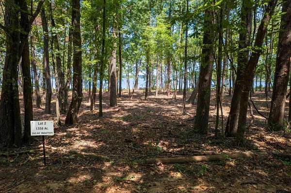 1.56 Acres of Residential Land for Sale in Leesburg, Texas