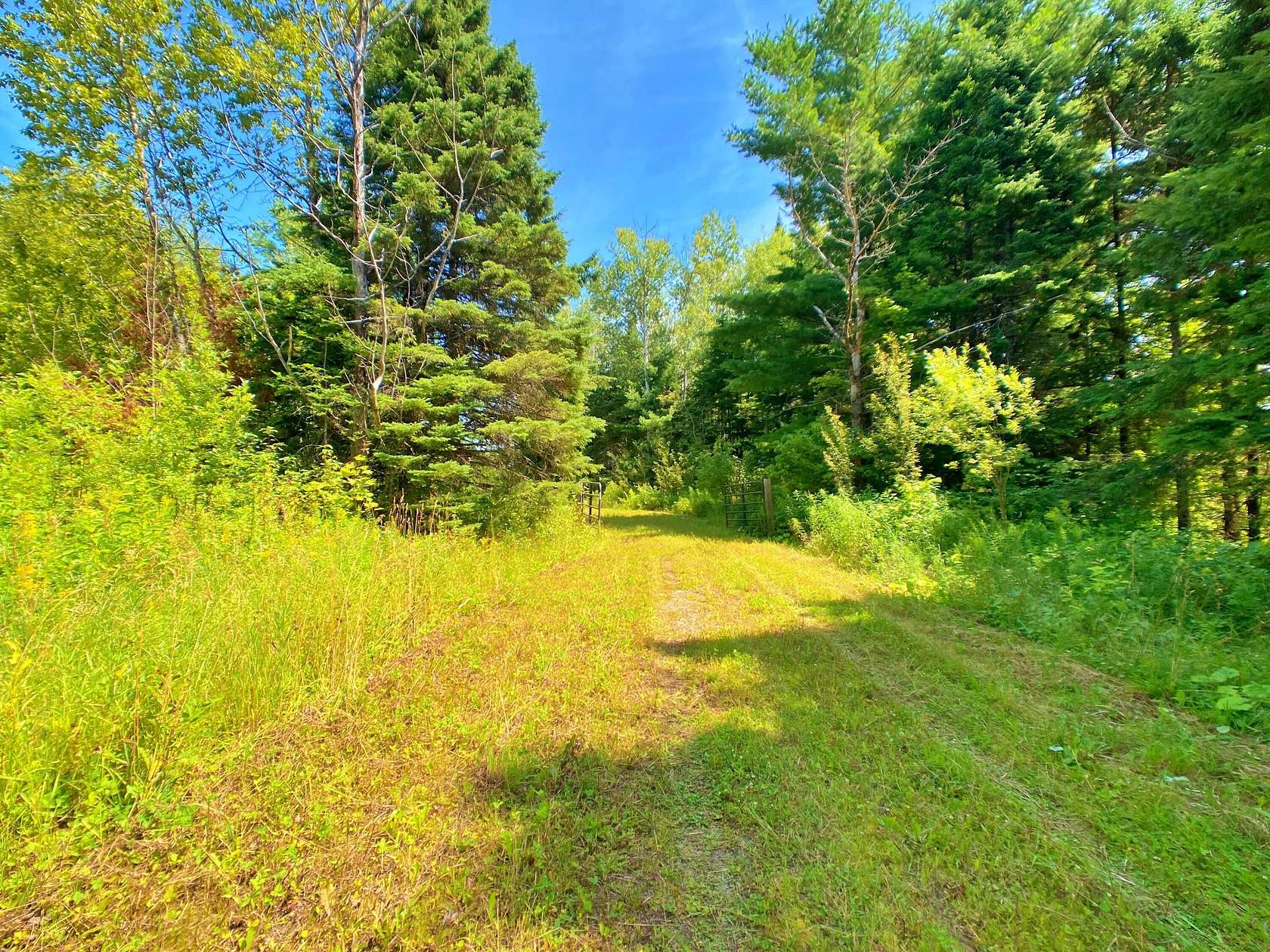 133 Acres of Recreational Land & Farm for Sale in New Sweden, Maine