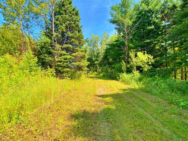 133 Acres of Recreational Land & Farm for Sale in New Sweden, Maine