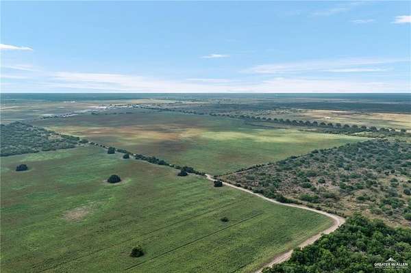 130 Acres of Land for Sale in Edinburg, Texas