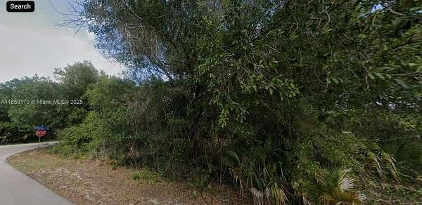 0.36 Acres of Residential Land for Sale in Lehigh Acres, Florida