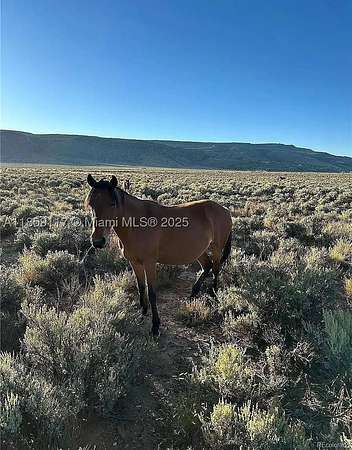 160 Acres of Land for Sale in San Acacio, Colorado