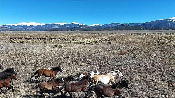 160 Acres of Land for Sale in San Luis, Colorado