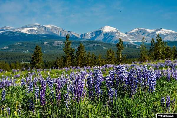 121 Acres of Land for Sale in Buffalo, Wyoming