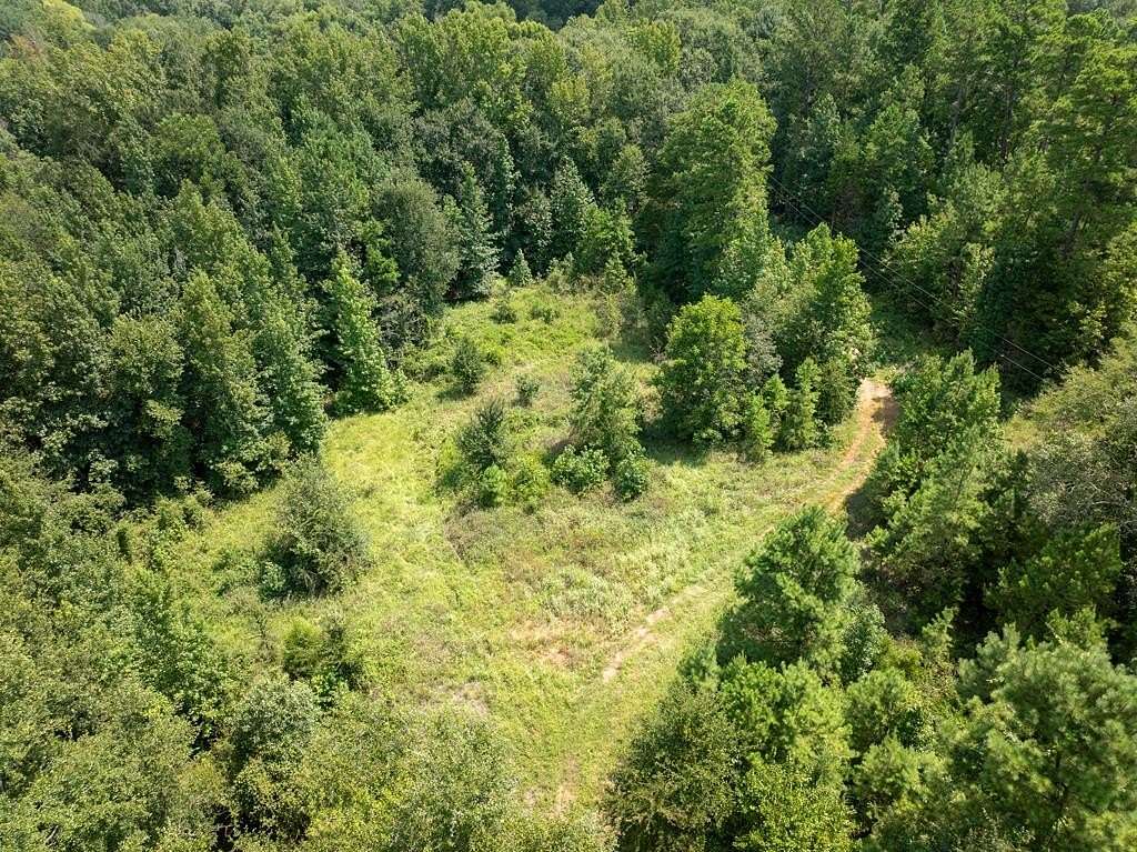 29.6 Acres of Recreational Land for Sale in Elkhart, Texas