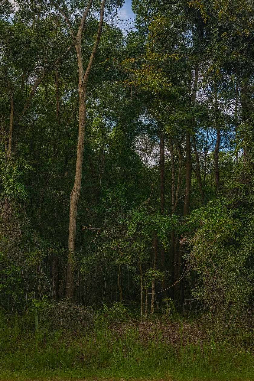 3 Acres of Land for Sale in Old Town, Florida