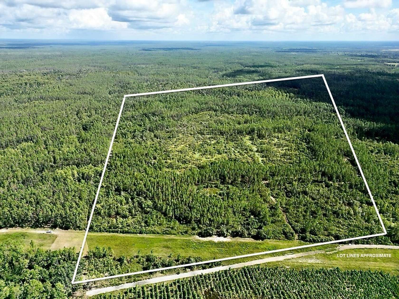 40 Acres of Recreational Land for Sale in Mayo, Florida
