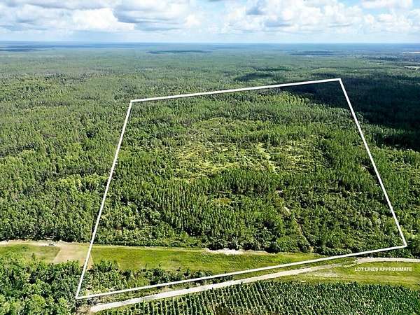40 Acres of Recreational Land for Sale in Mayo, Florida