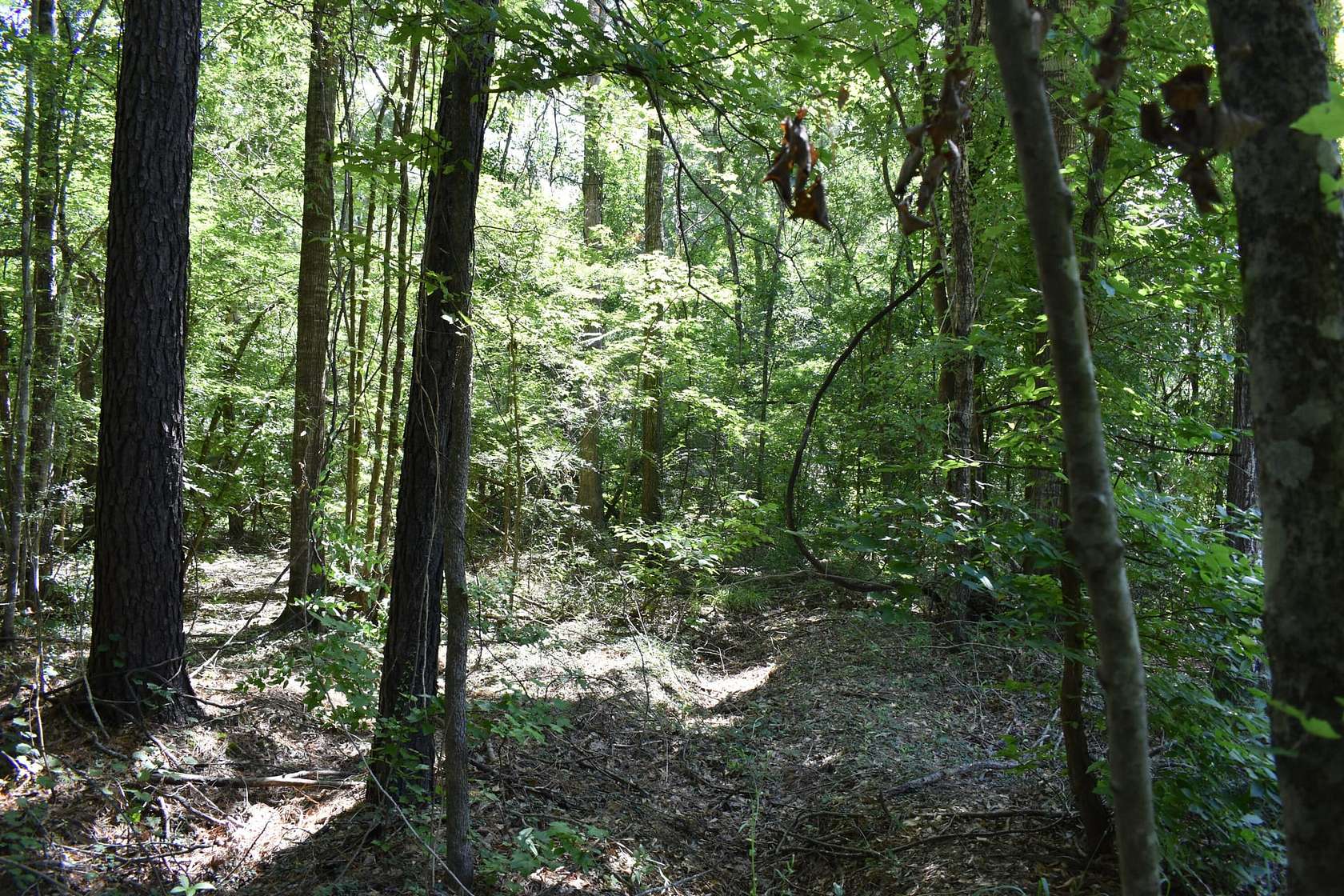 10 Acres of Recreational Land for Sale in Many, Louisiana