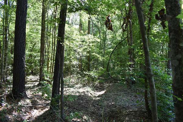 10 Acres of Recreational Land for Sale in Many, Louisiana