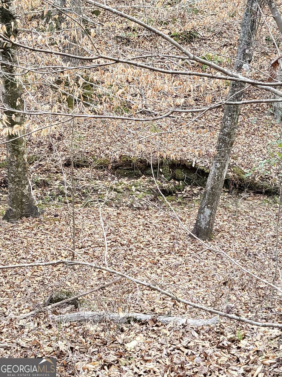 107 Acres of Land for Sale in Thomaston, Georgia