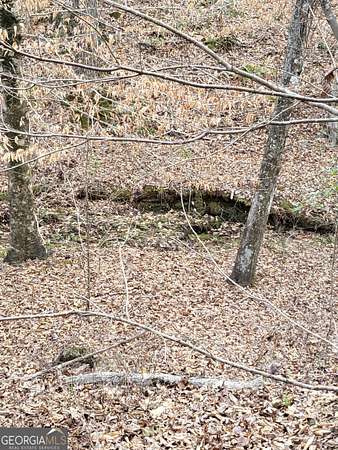 107 Acres of Land for Sale in Thomaston, Georgia