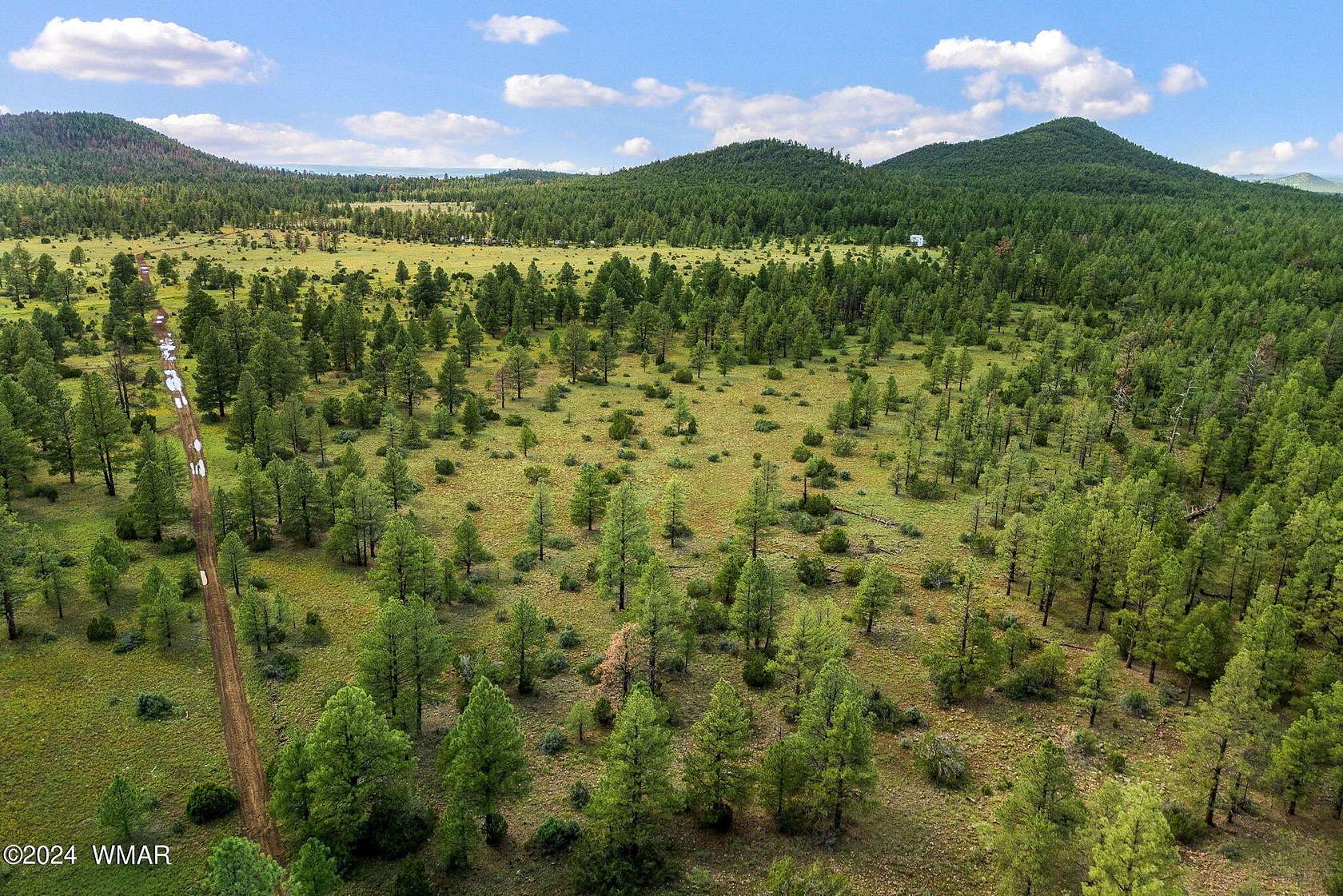 66.5 Acres of Agricultural Land for Sale in Vernon, Arizona