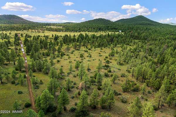 66.5 Acres of Agricultural Land for Sale in Vernon, Arizona