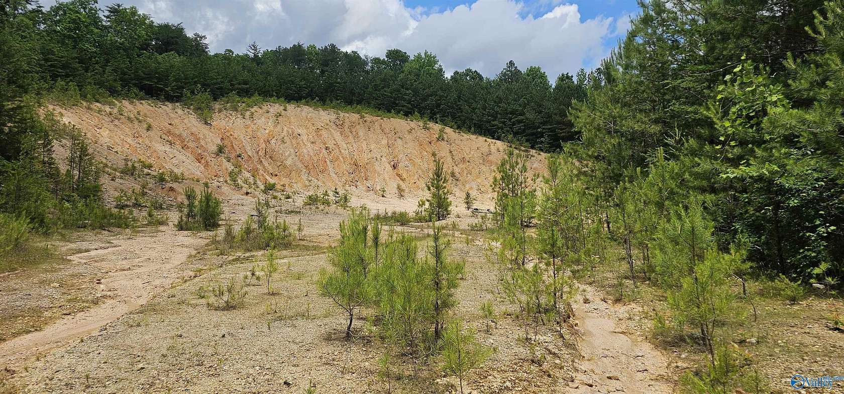 3.3 Acres of Commercial Land for Sale in Fort Payne, Alabama