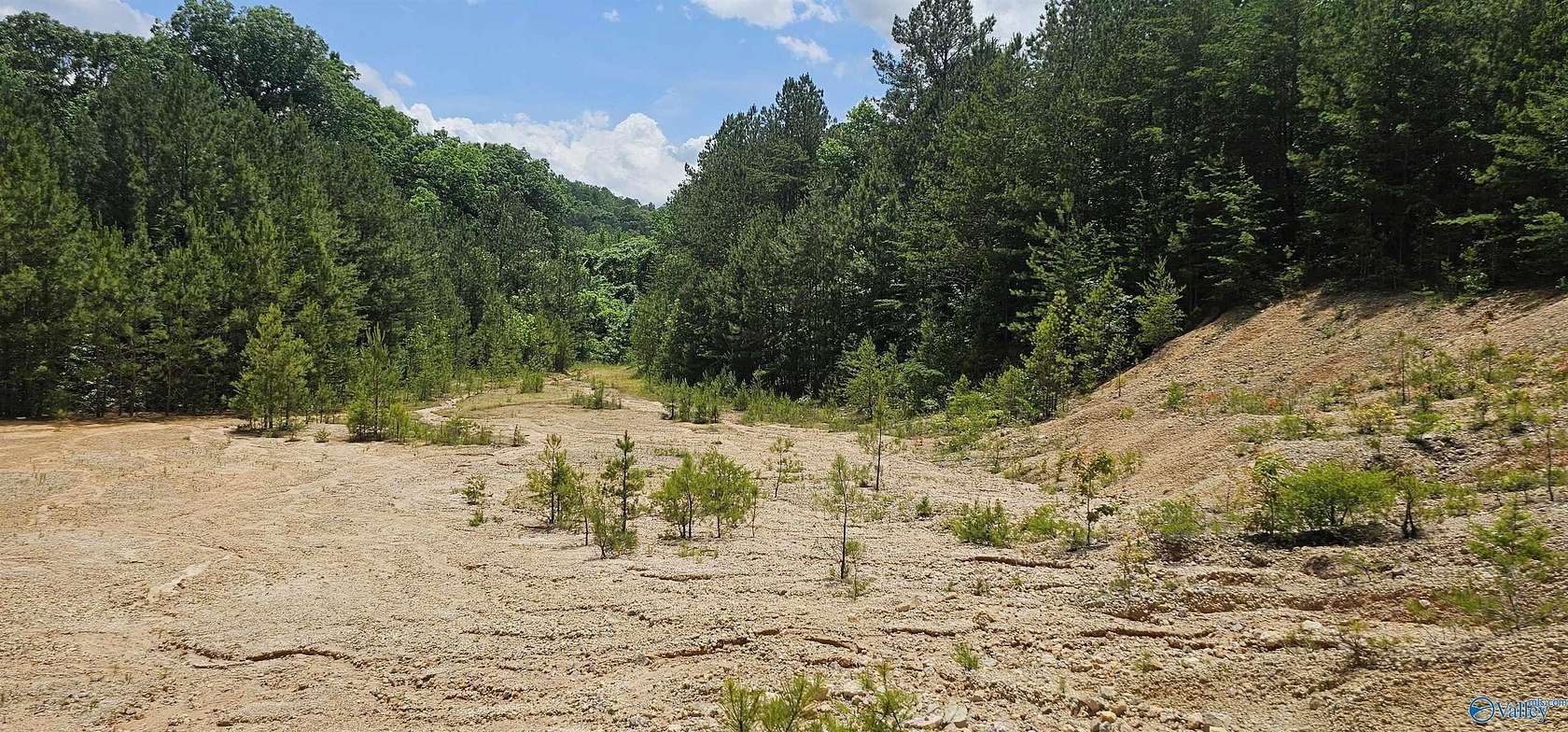 3.3 Acres of Commercial Land for Sale in Fort Payne, Alabama