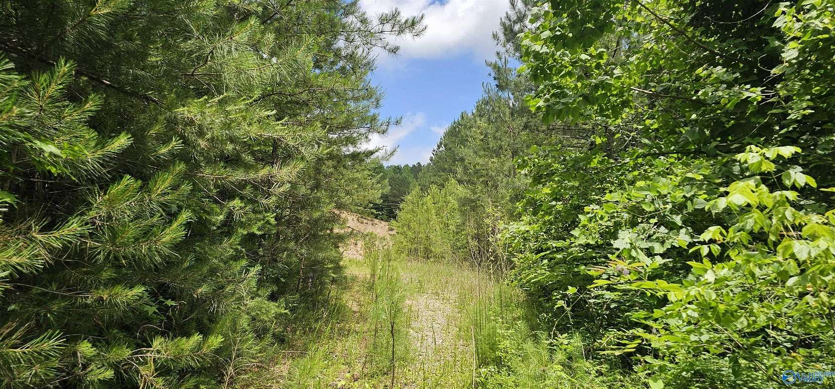 3.3 Acres of Commercial Land for Sale in Fort Payne, Alabama