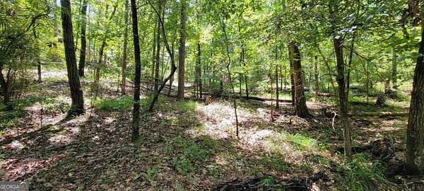 0.5 Acres of Residential Land for Sale in Sparta, Georgia