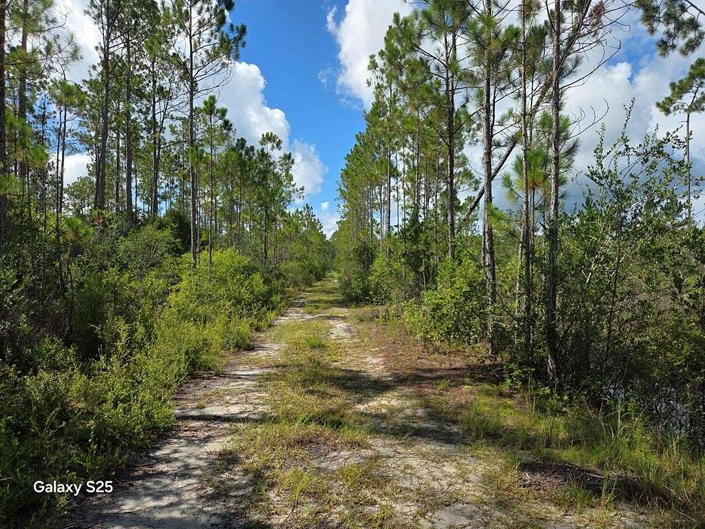20 Acres of Land for Sale in Eastpoint, Florida
