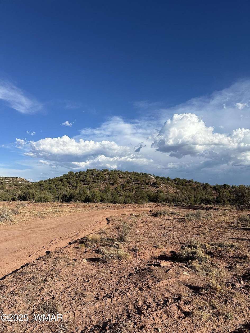 20 Acres of Recreational Land for Sale in White Mountain Lake, Arizona