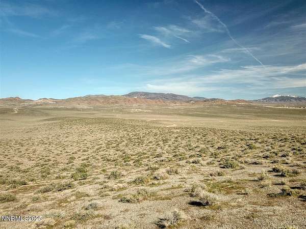 19.8 Acres of Land for Sale in Yerington, Nevada