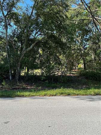 13.9 Acres of Land for Sale in Wesley Chapel, Florida
