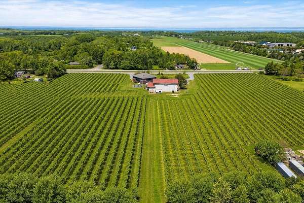 32.6 Acres of Agricultural & Residential Land for Sale in Cutchogue, New York