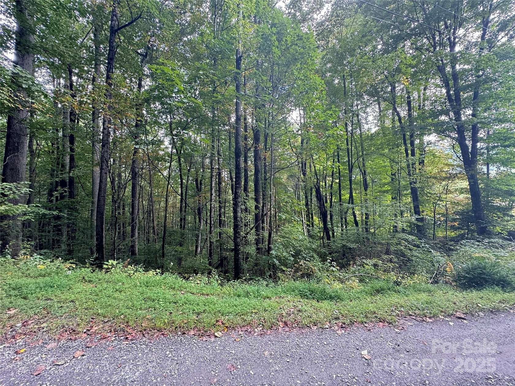 1 Acre of Residential Land for Sale in Waynesville, North Carolina