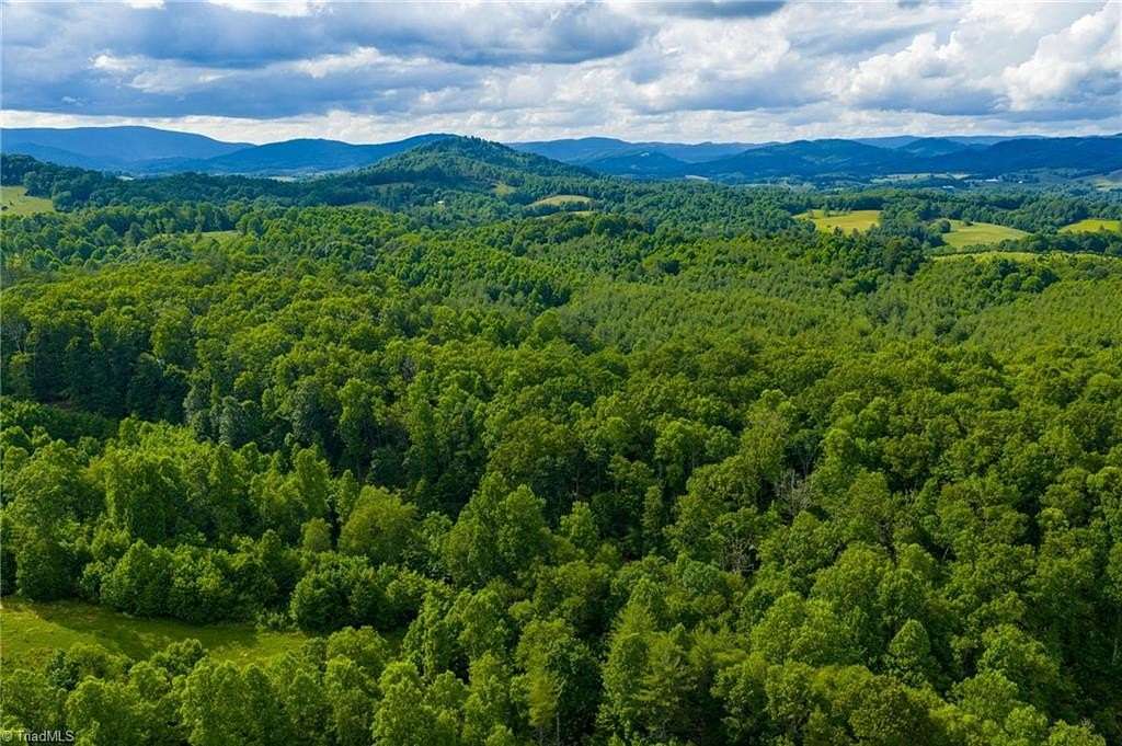 113 Acres of Recreational Land for Sale in Piney Creek, North Carolina