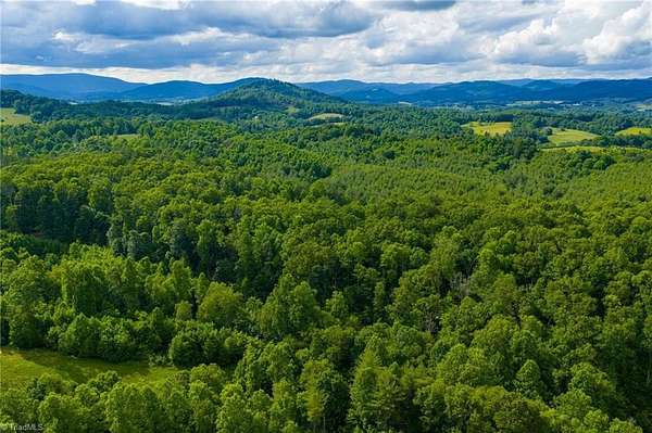113 Acres of Recreational & Residential Land for Sale in Piney Creek, North Carolina