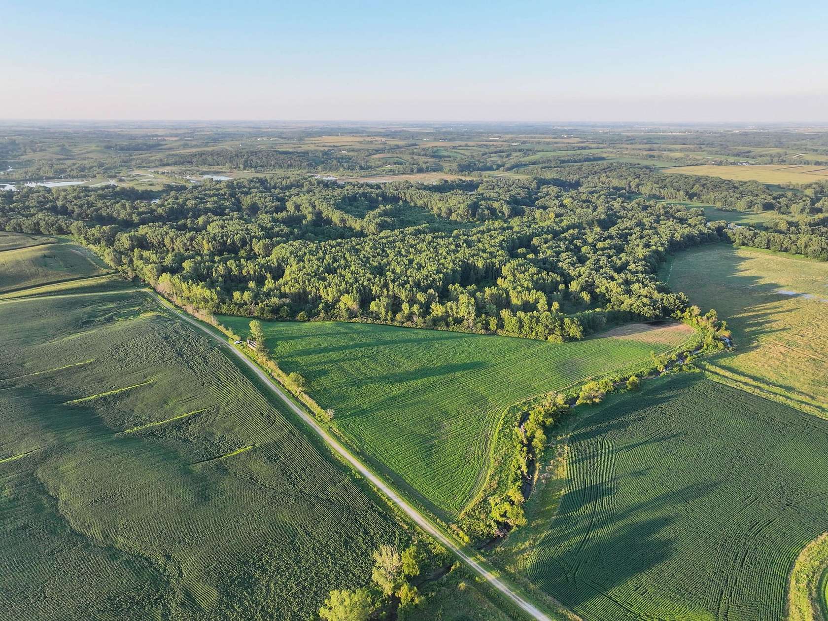 175 Acres of Land for Sale in Hedrick, Iowa