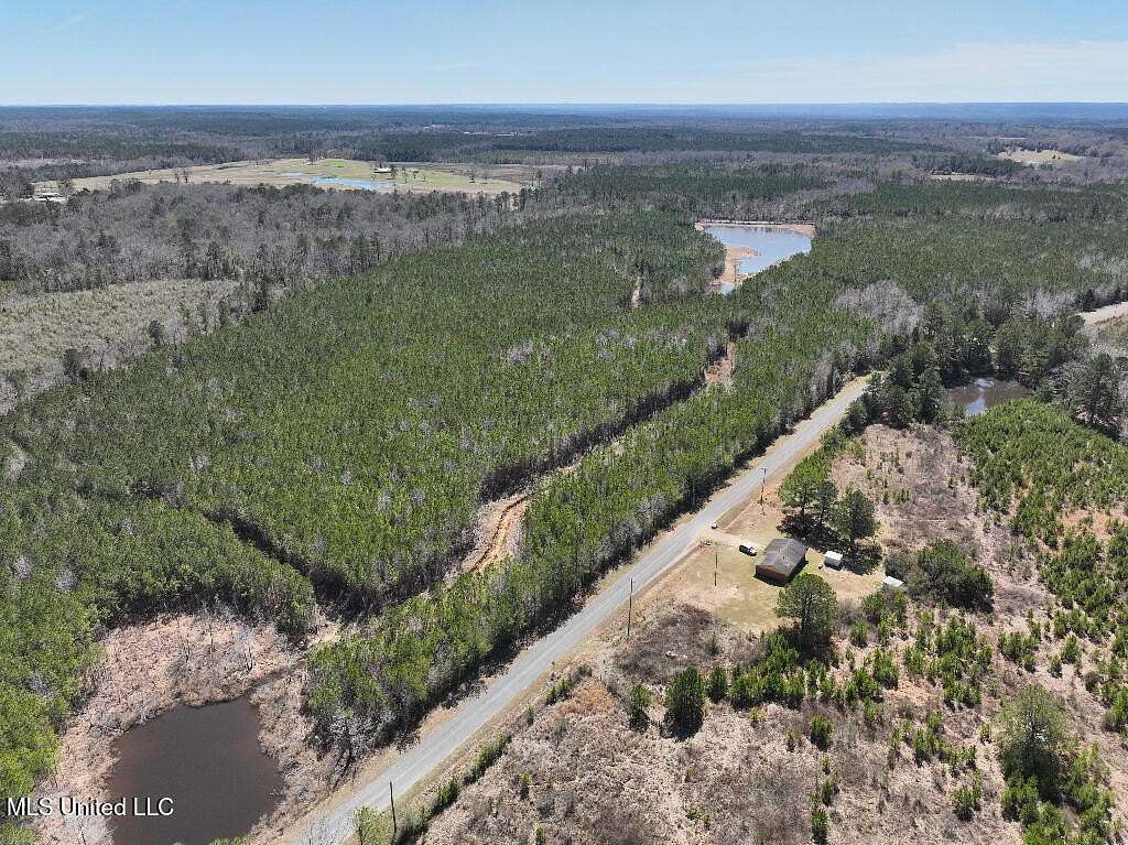 13.2 Acres of Recreational Land for Sale in Shubuta, Mississippi