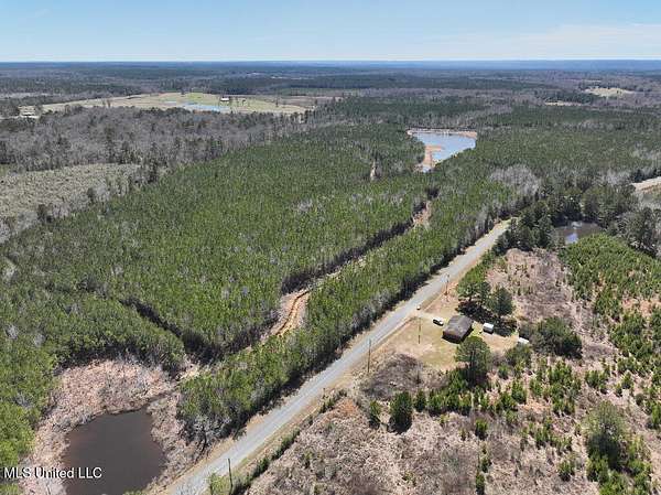 13.2 Acres of Recreational Land for Sale in Shubuta, Mississippi