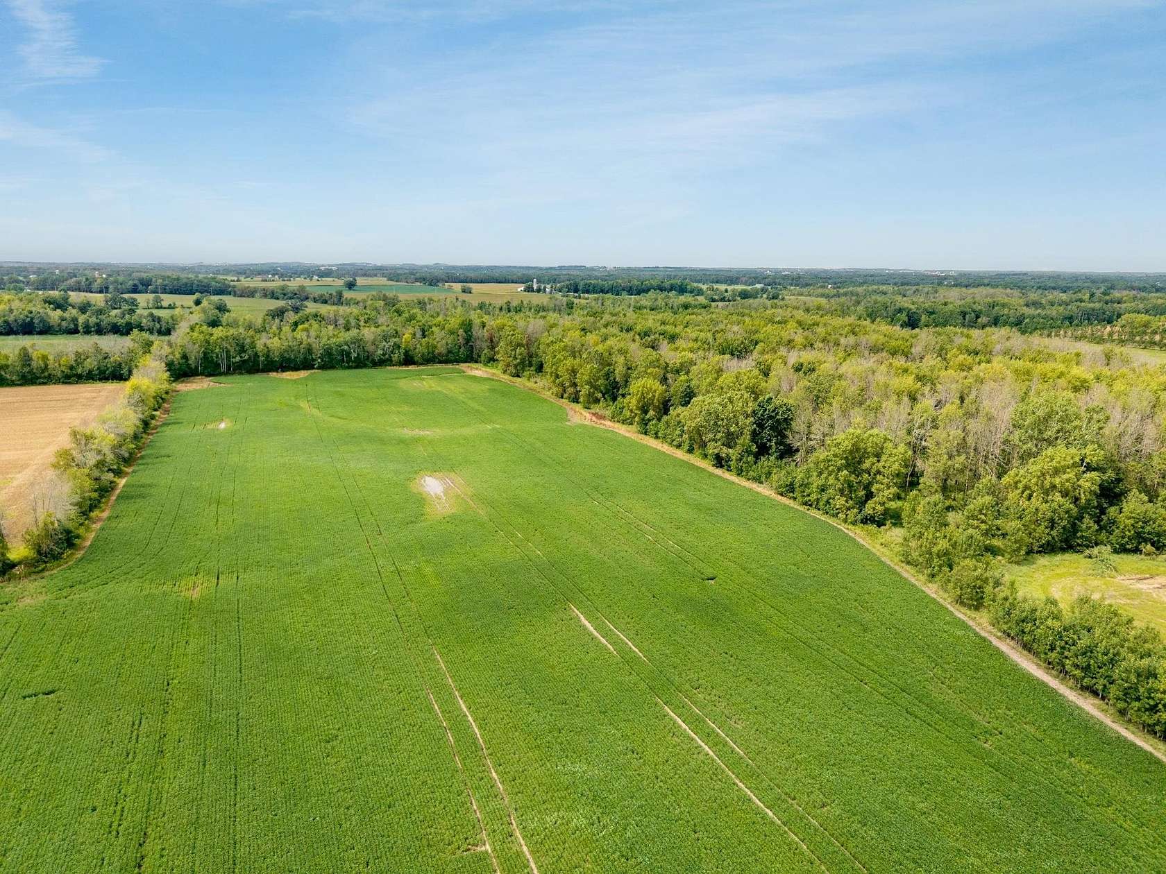 90.7 Acres of Land for Sale in Pulaski, Wisconsin